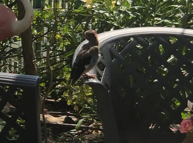 Гостевой дом Ivano