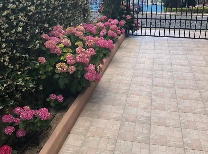 Гостевой дом Ivano Приморско