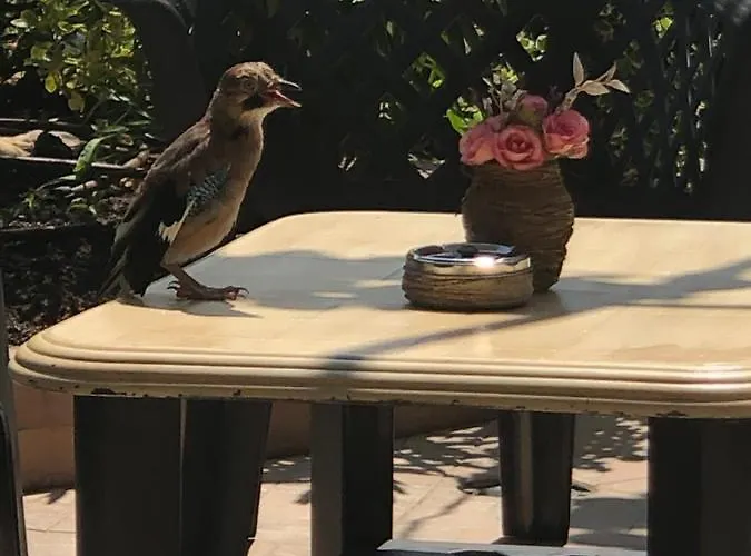 Гостевой дом Ivano 2*