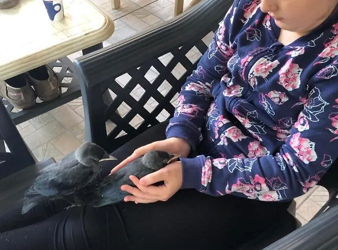 Ivano Приморско