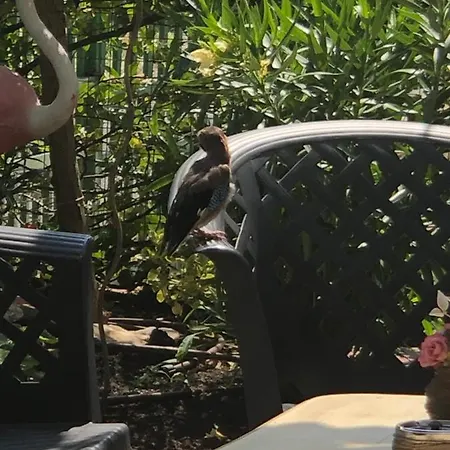 Къща за гости ивано