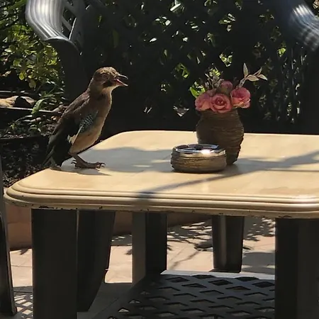 Къща за гости ивано 2*