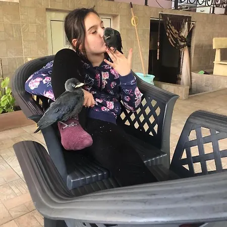 Къща за гости ивано 2*