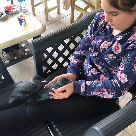 ивано Приморско